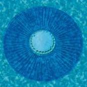 Smart Ring Pool Drain Cover - NE290