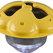 Nova Pool Light
