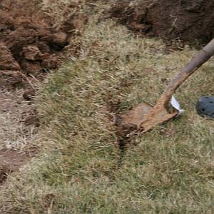 Sod Removal