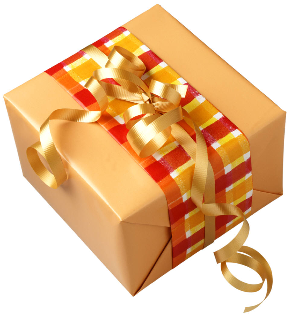 Gifts for the Pool Owner
