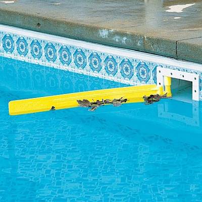 Skim-it (Above Ground Pool Skimmer Extension)