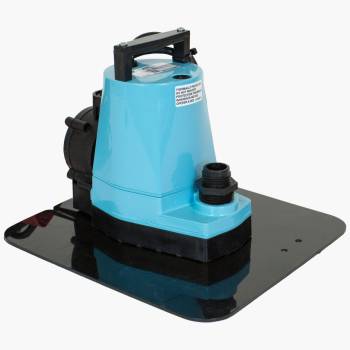 Little Giant  Automatic Cover Pump