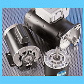Swimming Pool Pump Replacement Motors