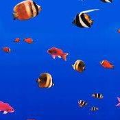 Aquarium Tile Overlap Vinyl Liner