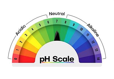 How To Decrease The pH Level In Your Swimming Pool