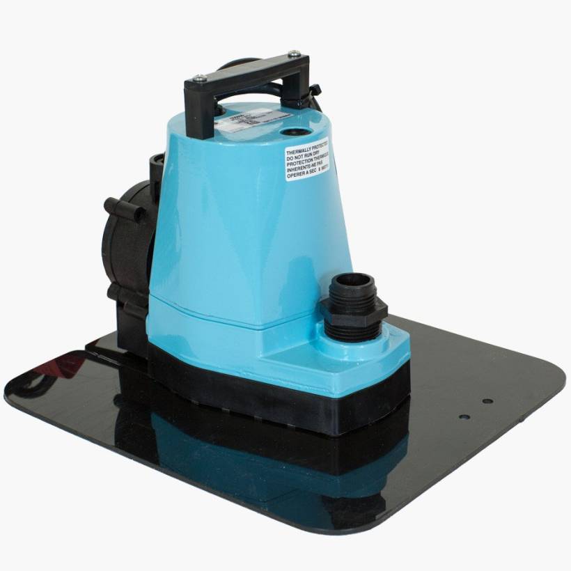Little Giant Pool Pumps